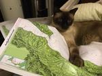 Musing about the next trip