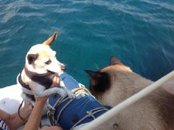 Zoe (USA) meets Bailey