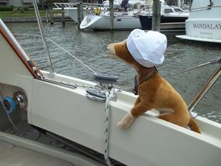 stuffed dog on boat with white sailor hat